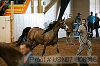 usn07_j08916 proof