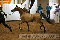usn07_j08918 proof