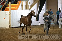 usn07_j08919 proof