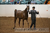 usn07_j08923 proof