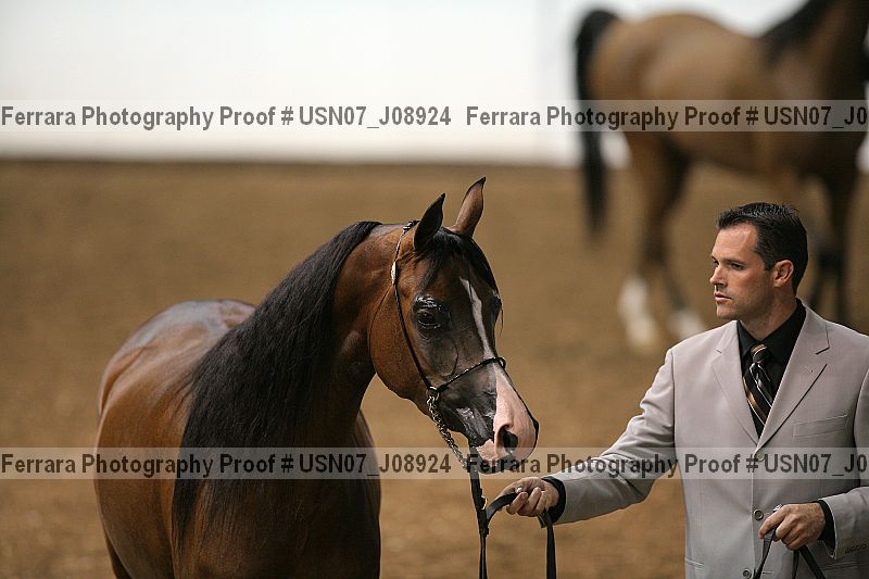 Proof usn07_j08924