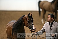 usn07_j08924 proof