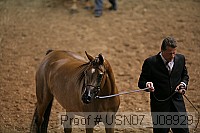 usn07_j08929 proof