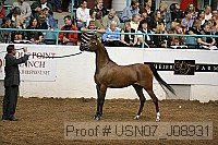 usn07_j08931 proof