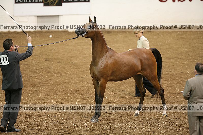 Proof usn07_j08932