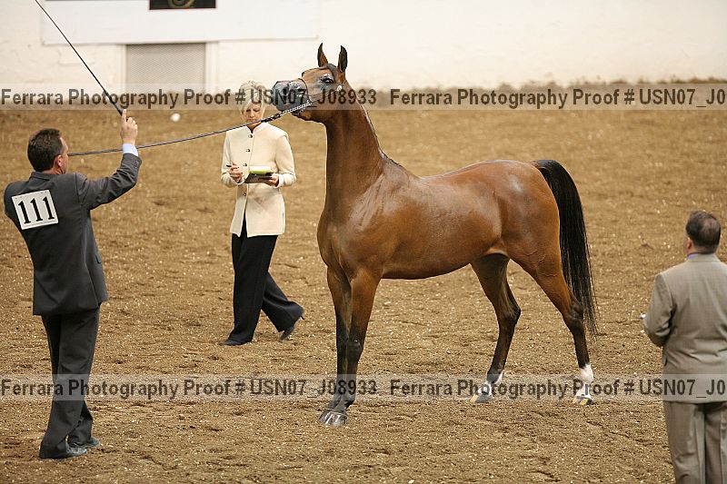 Proof usn07_j08933