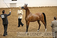 usn07_j08933 proof