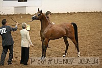 usn07_j08934 proof