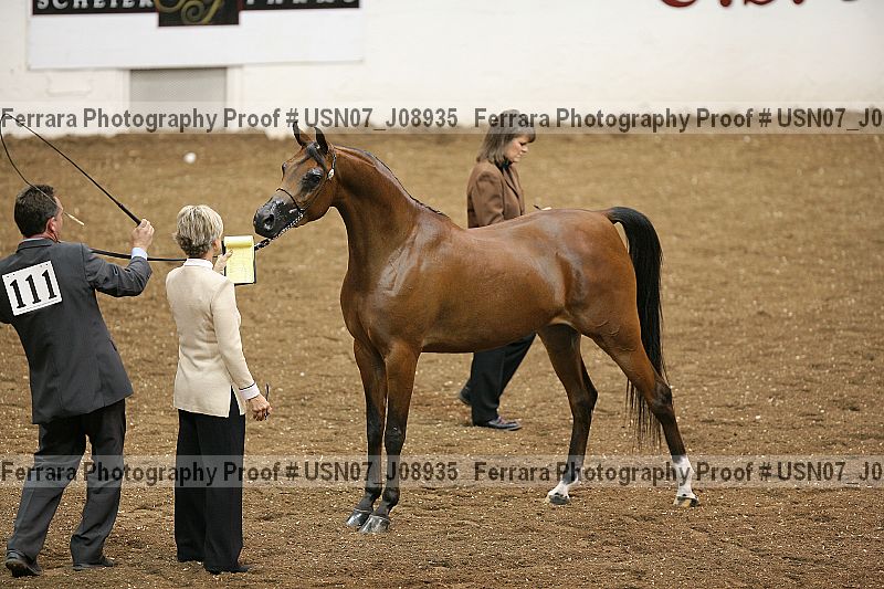 Proof usn07_j08935