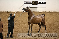 usn07_j08938 proof