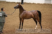 usn07_j08942 proof