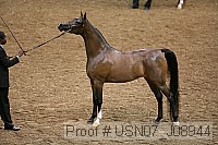 usn07_j08944 proof