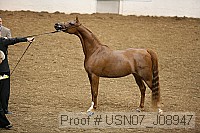 usn07_j08947 proof