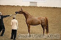 usn07_j08948 proof
