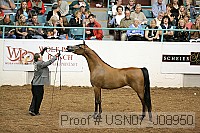 usn07_j08950 proof