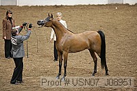 usn07_j08951 proof