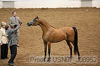 usn07_j08952 proof