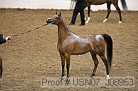 usn07_j08953 proof