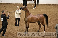 usn07_j08954 proof