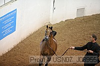usn07_j08955 proof