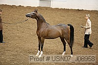 usn07_j08958 proof
