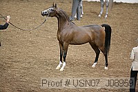 usn07_j08959 proof