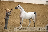 usn07_j08960 proof