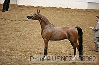 usn07_j08962 proof