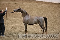 usn07_j08965 proof