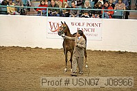 usn07_j08966 proof