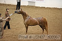usn07_j08967 proof