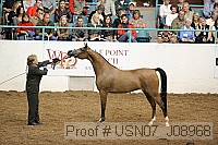 usn07_j08968 proof