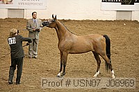 usn07_j08969 proof