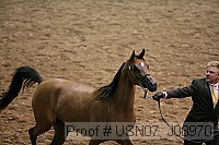 usn07_j08970 proof