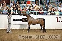 usn07_j08971 proof