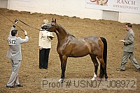 usn07_j08972 proof