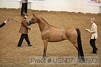usn07_j08973 proof