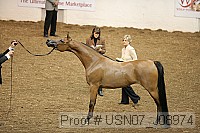 usn07_j08974 proof