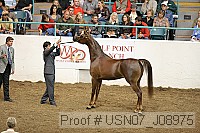 usn07_j08975 proof