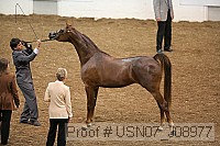 usn07_j08977 proof