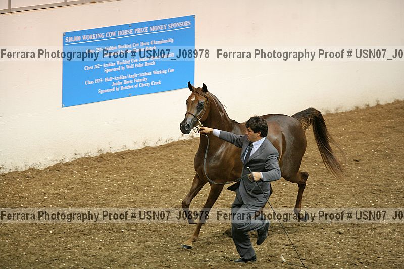 Proof usn07_j08978