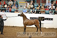 usn07_j08979 proof