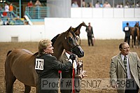 usn07_j08981 proof