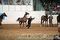 usn07_j08985 proof