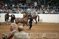 usn07_j08986 proof