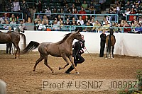 usn07_j08987 proof