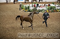 usn07_j09004 proof