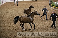 usn07_j09005 proof