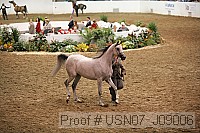 usn07_j09006 proof