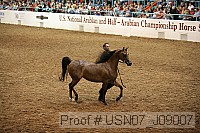 usn07_j09007 proof